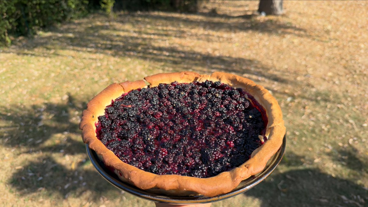 LoreeMarshfqtr's tweet photo. Tarte aux mûres et tarte aux pommes. https://t.co/zyIEuqaOVf