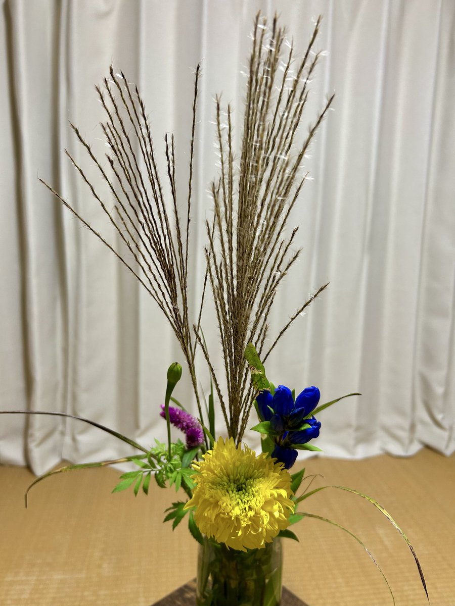 mieiki tweet picture