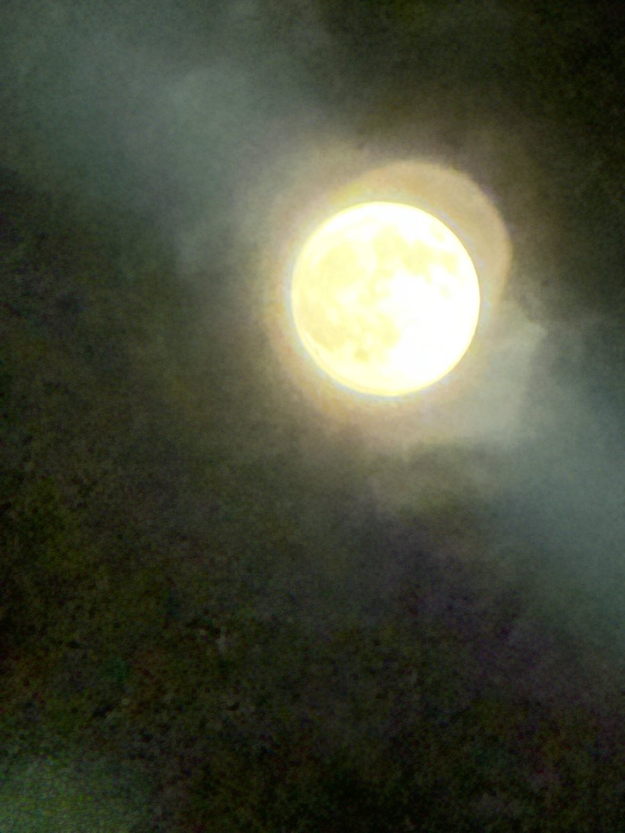 kiki03tm's tweet photo. 中秋の名月？🌕 https://t.co/ZU6zTBckqr