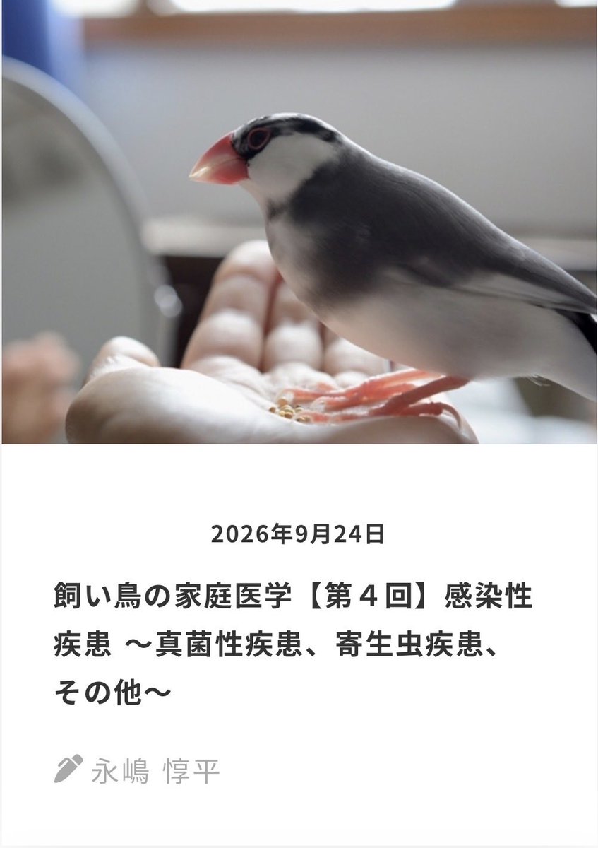 bird_vet's tweet photo. 動物と人をつなぐWebメディア「いきもののわ」にて、連載第4回が公開されました。

今回のテーマは
『飼い鳥の家庭医学【第4回】 感染性疾患～真菌性疾患、寄生虫
疾患、その他～」
前回に引き続き感染症に関する記事です。感染症の中には私たち人に移るものもあります。

今一度鳥さんの感染症に関して知る機会にしていただければと思います！

▶記事はコチラ
https://t.co/qeXGJLoqSv tori_kateiigaku4/