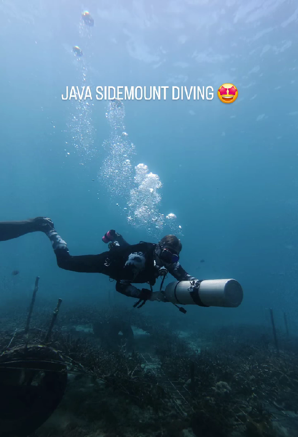 Ajay_10am's tweet photo. Affordable Bali Dive Safaris | Best Package Deals

https://t.co/24qrFxo6md

#scubadiving
#bali
#baliscubadiving
#snorkeling https://t.co/GaOkMCYHLr
