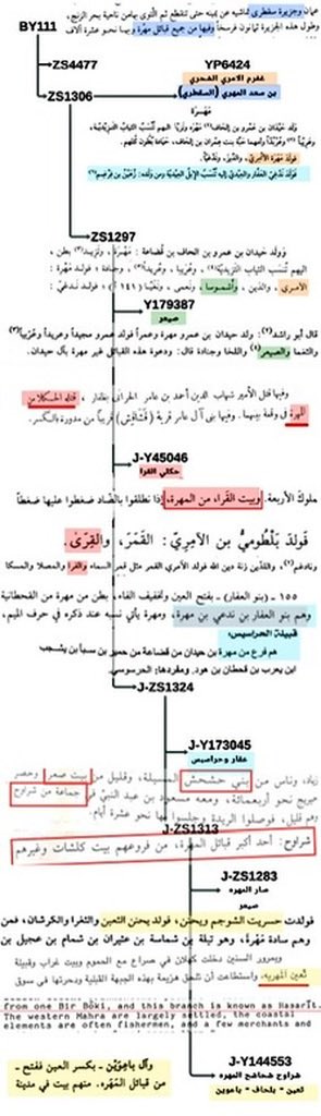 L93_BY111's tweet photo. قبيلة الحكلي فرع من بطن القرا ولازالوا محتفظين بنسبهم القراوي القديم في وثائقهم القديمة وفي اشعارهم، ولازالوا يعرفون بهذا المسمى (القرا). 

المصادر:

وثائقهم القديمة ونسب القرا في مصادر التاريخية، وقبائلهم التي طلعت على التحور المهري BY111 توافق هذا القول والي شذ محسوب على غيرنا. https://t.co/hDwf7oJ2Z9