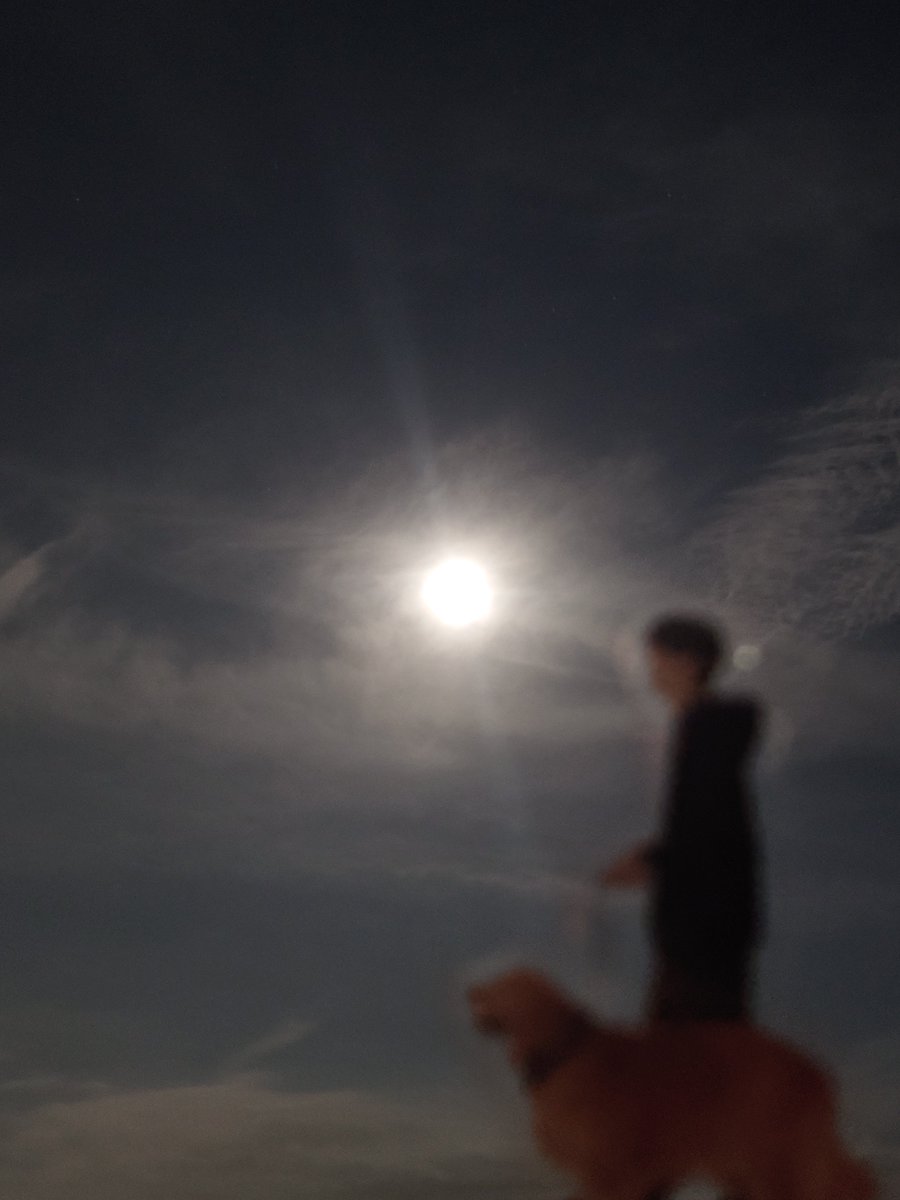 banayosr's tweet photo. 夜空をお散歩🌕️

中秋の名月一緒に見れたね🦮

#DAPUMP
#YORI
#妄想ゴールデン https://t.co/3ezo5K8mZi