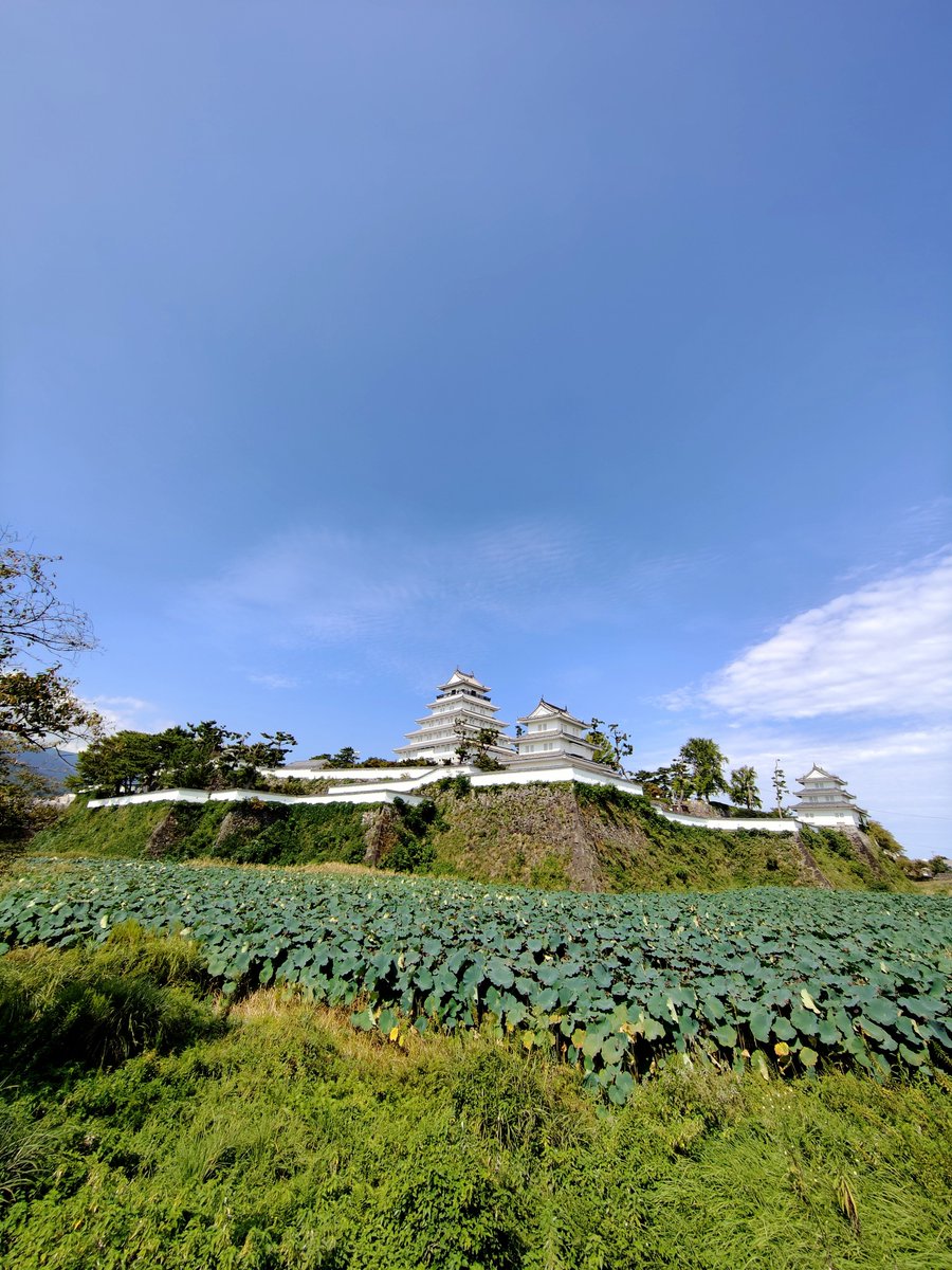 tonban13's tweet photo. 本日の島原城🏯
久々に撮りに来たら石垣は雑草で見えず蓮の花も終わってた~😅
#島原 https://t.co/hxiv0X35Py