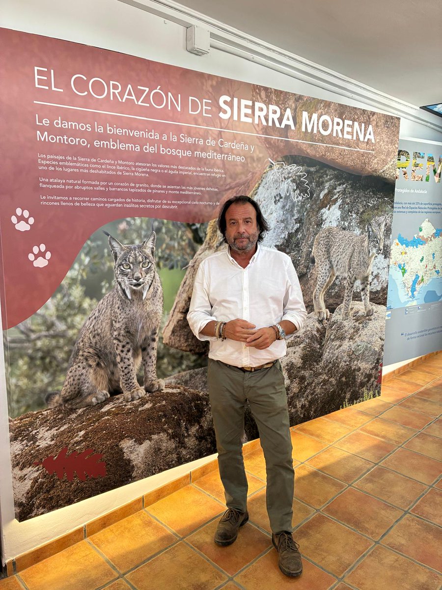 JuntaCordoba's tweet photo. La Junta de Andalucía culmina la renovación integral del Centro de Visitantes del Parque Natural Sierra de Cardeña y Montoro
🌱mejoras en eficiencia energética
🚵movilidad sostenible
🪧nuevos recursos interpretativos 
 👉Visítalo https://t.co/lqb8YV62gE