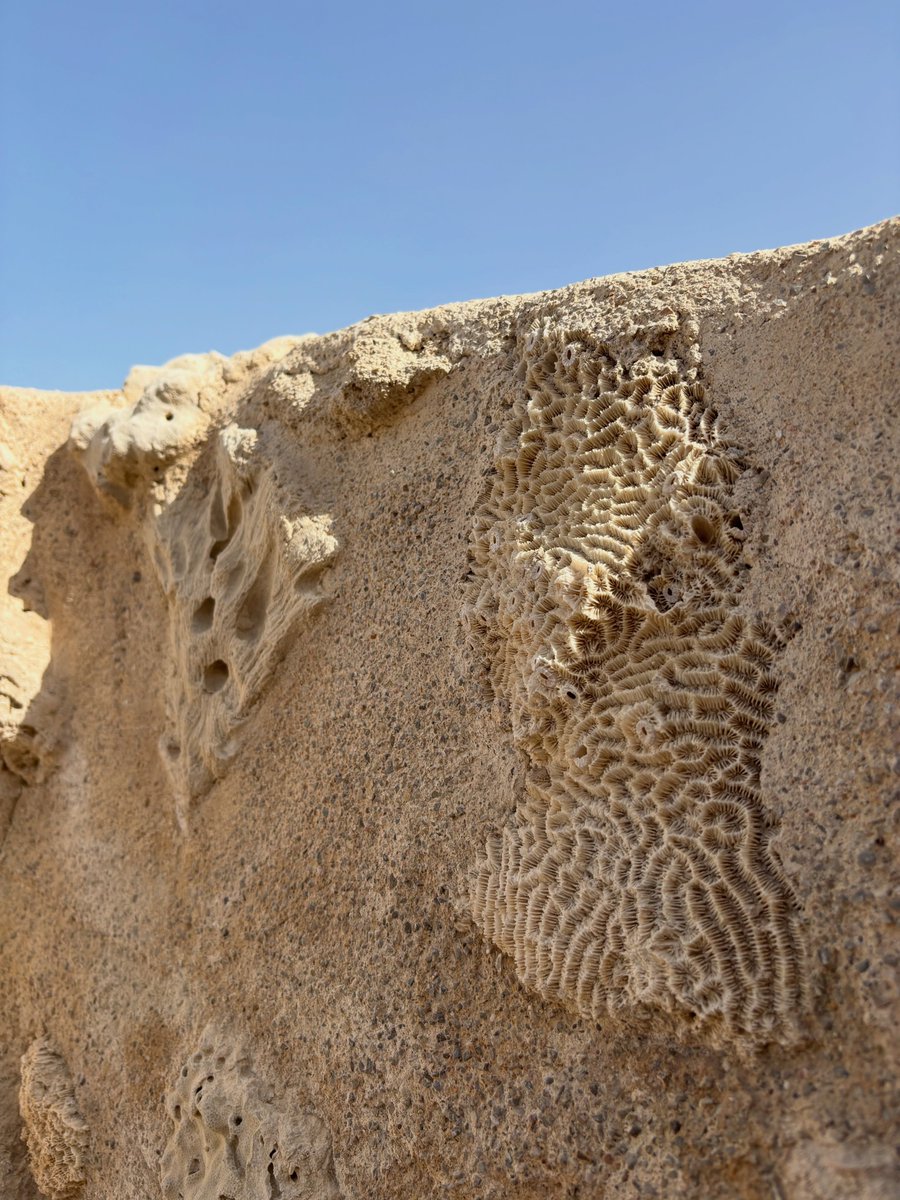 FlorindaGo5r's tweet photo. Al Jazirah Al Hamra, Ras Al Khaimah. Founded in the 18th century by the Zaab tribe, this abandoned fishing and pearl-diving village preserves the UAE’s traditional coastal architecture, built from coral stone, seawater, and palm wood. https://t.co/E6fyMisNSf