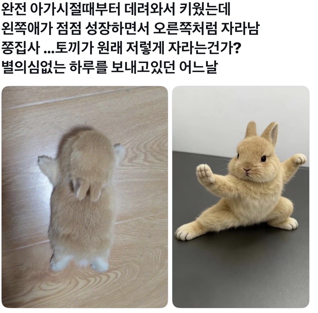 o3osinn's tweet photo. 젱젴 https://t.co/g6YcfM28EP