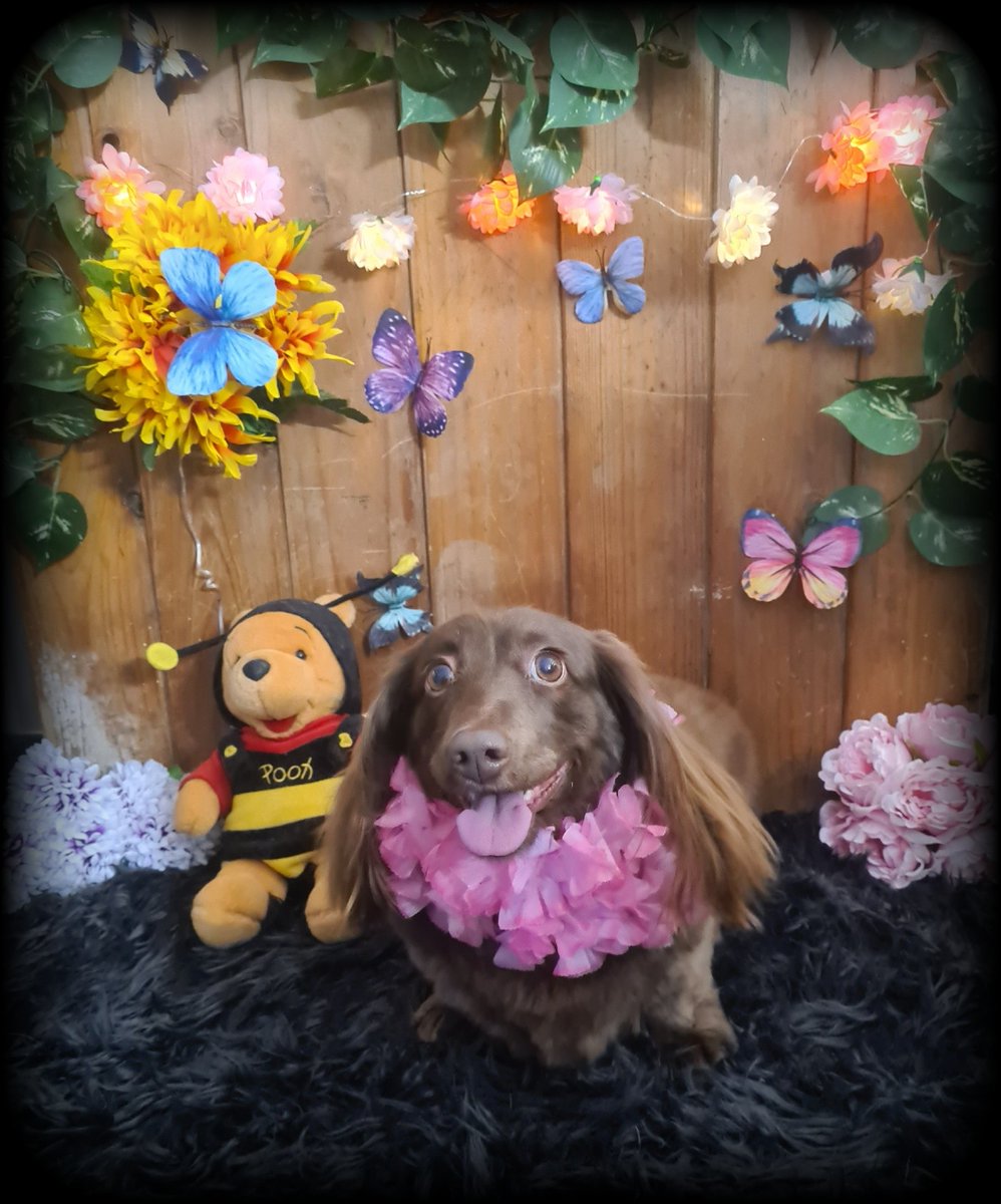 AgathaBaurvm0r's tweet photo. Macy’s latest updates are here. https://t.co/BaSySCwXTz
