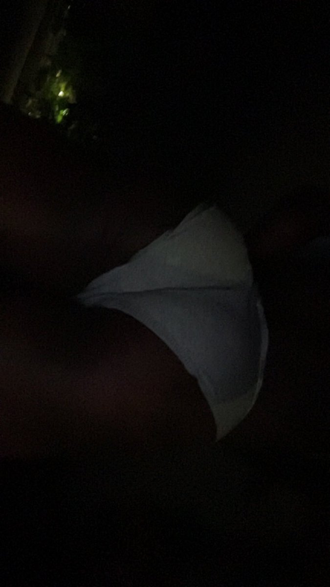 Izzyybaee's tweet photo. Very dark and very femboy outside #femboy #outside lol https://t.co/AizCjqGDUc