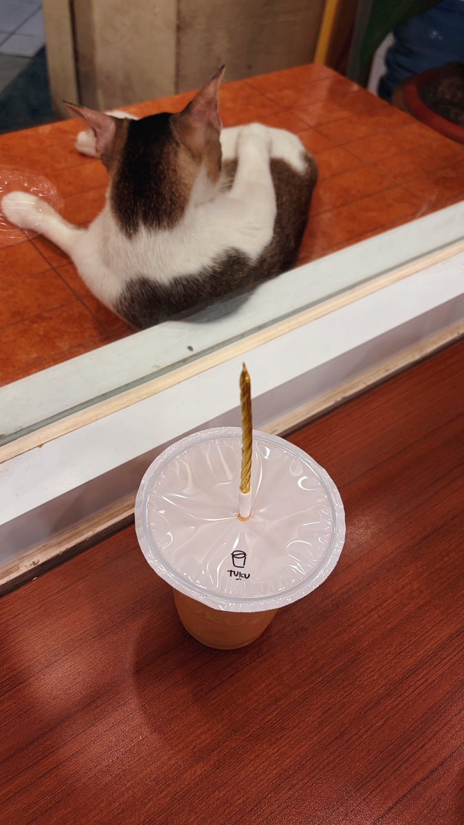 megelagatigi's tweet photo. @rince_life Done ya cino🤍🐱
Aku syukuri banyak hal beberapa hari ini, termasuk ulangtahunku sudah lewat tapi banyak yg masih ingat walaupun aku udah sempet merasa lost spark ternyata aku masih dirayakan semesta 💕
#CinoBagiTomat🍅 https://t.co/h5EA8rQmOH