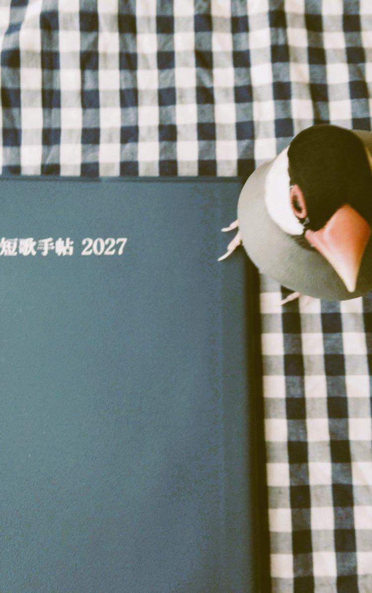 yoshicony's tweet photo. 角川『短歌』10月号特別付録「短歌手帖」の
掲載歌を選ばせていただきました。
様々な御作品に触れ、大きな刺激をいただきました。

短歌手帖、歌の日々のおともに
ぜひお連れくださいね🎠 https://t.co/jk1Nh0rdRA
