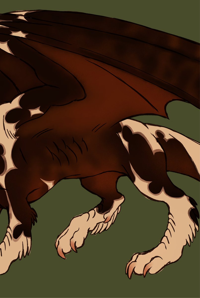 iloveehorses's tweet photo. what if dragons were pinto? 🐎 https://t.co/dnKkTrFDdY