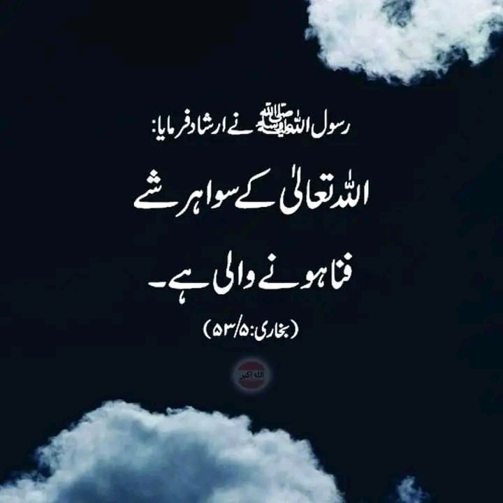 __SZ22's tweet photo. بیشک اللہ کے سوا ہر شے فنا ہونے والی ہے https://t.co/mscnEpuA6m