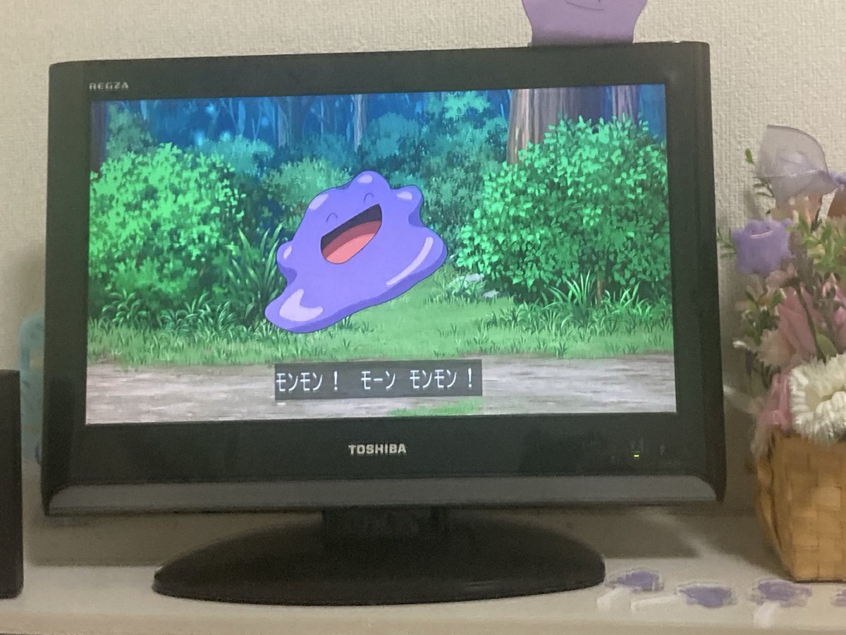 ポケットモンスター(2023) 第151話 ツイート画像 1