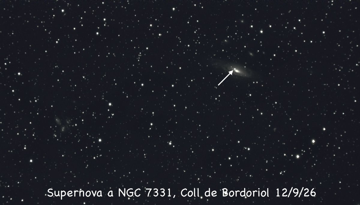AstroMontseny's tweet photo. GALÀXIES DES DELS INDRETS MÉS FOSCOS AL #MONTSENY. Aquestes meravelles galàctiques són de la Patrícia Canela @Patrici41171997 amb el seu refractor ED80, amb càmera ZWO ASI 715MC. La primera imatge de la galàxia #NGC7331 inclou la seva recent supernova #SN2026aaiv 🤩👌👏 https://t.co/GD6tjDLzwV