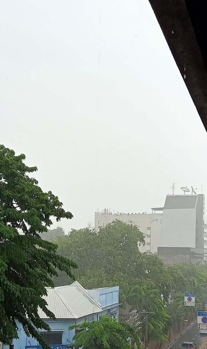 psdndcp9's tweet photo. ขออนุญาตทำงานสำรวจวิจัย
  เกี่ยวกับถุงยาง   รบกวนสอบถามทุกคน   

ฝนตกแบบนี้  กลางวันจะมีคนมีอะไรกันไหม https://t.co/YCTvbsJszA