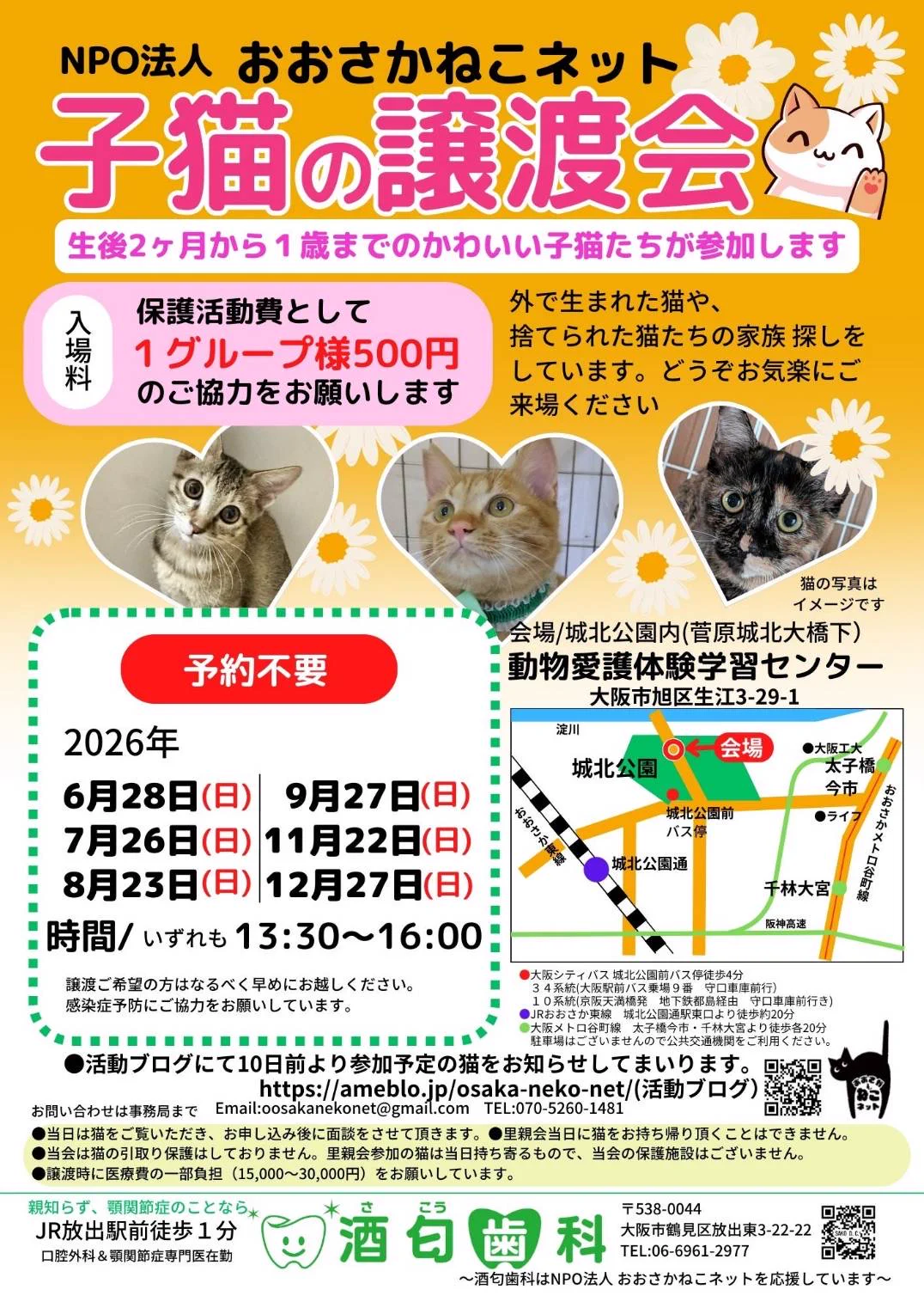 NPO法人おおさかねこネット on X: 