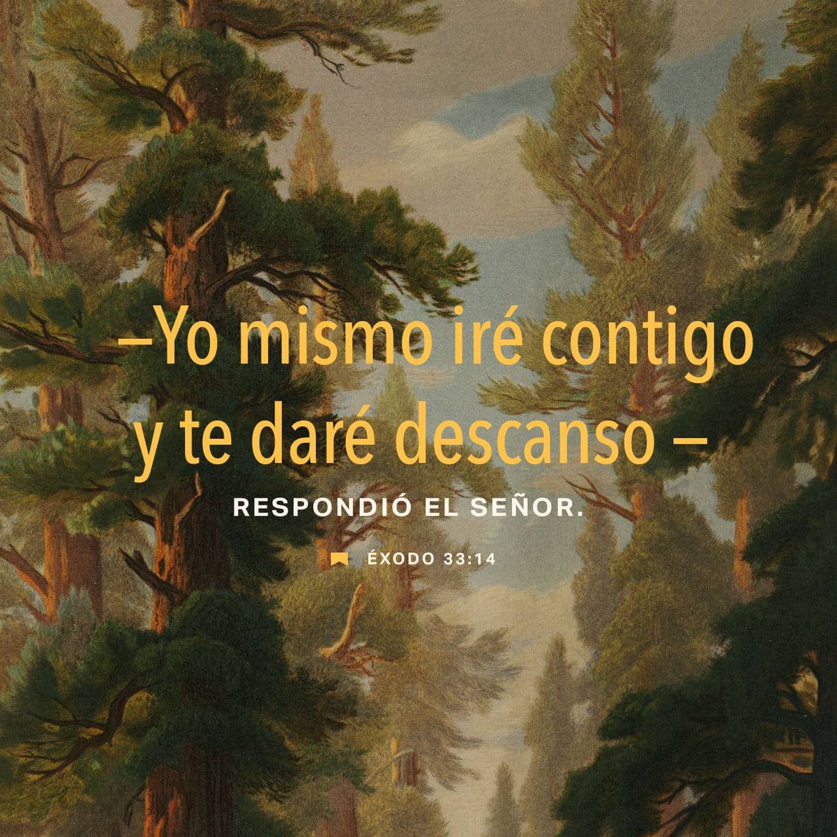 AlexBikers's tweet photo. Buen día para todos que tengan un excelente fin de semana bendiciones para todos 🙏🌄❤️🙌😊🤗

https://t.co/hA4eLdsTvB https://t.co/Ms1FnkQzsm