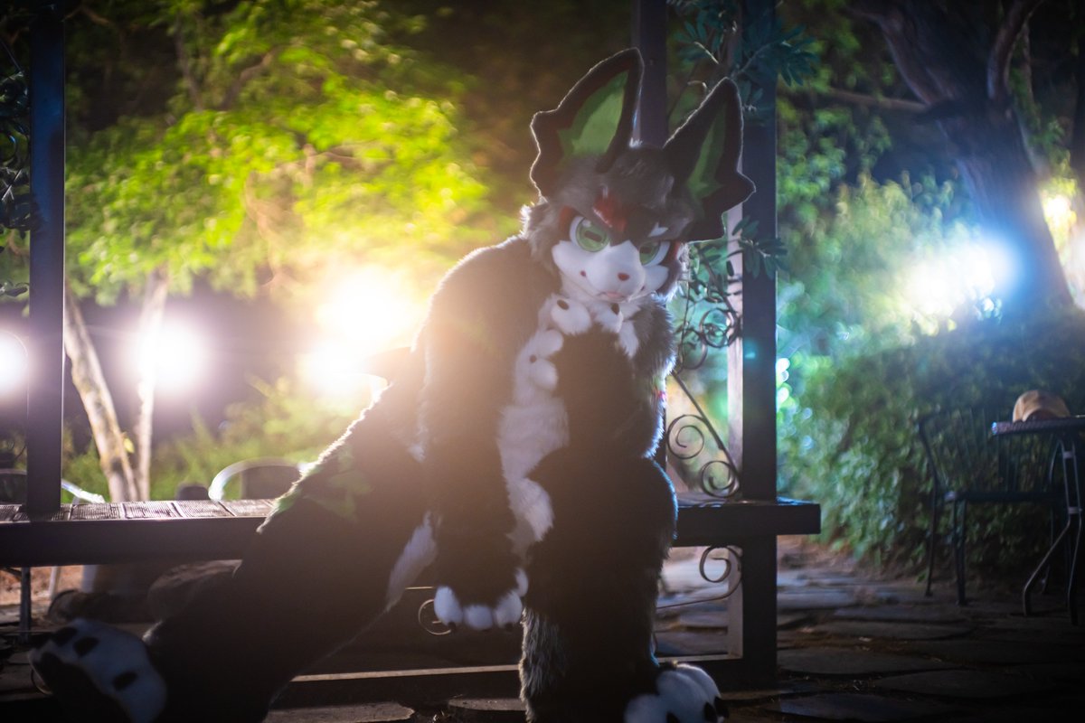 ECYCE_fursuit's tweet photo. 올해 데뷔하고 난 뒤 몇 곳에서 불러주는 기회를 가지게 되었느니라! 여름 간에 친구들과 만날 수 있어서 많이많이 행복했고 이제 퍼슈트의 계절이 슬슬 다가오니 다들 긴장하도록...! 

#FursuitFriday #나를_극복
📸: #Fluffy_fur_Fox https://t.co/tyWxw1i3C8