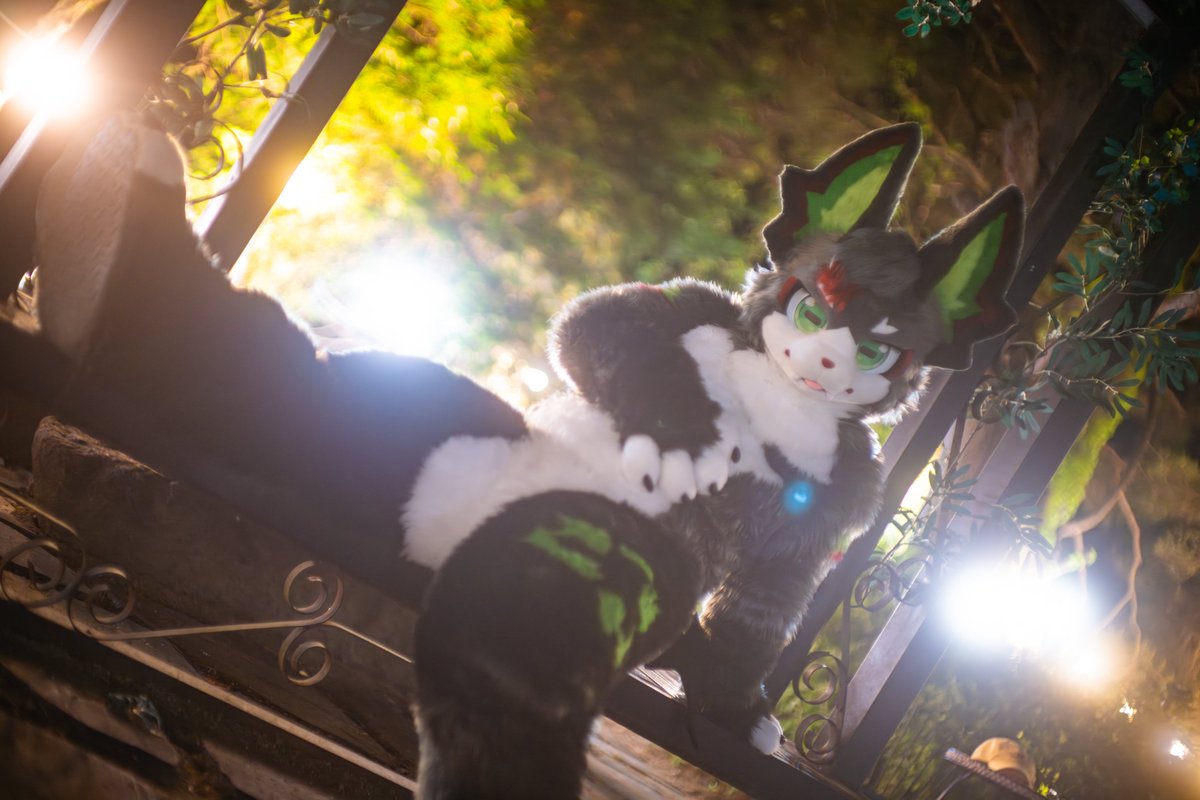 ECYCE_fursuit's tweet photo. 올해 데뷔하고 난 뒤 몇 곳에서 불러주는 기회를 가지게 되었느니라! 여름 간에 친구들과 만날 수 있어서 많이많이 행복했고 이제 퍼슈트의 계절이 슬슬 다가오니 다들 긴장하도록...! 

#FursuitFriday #나를_극복
📸: #Fluffy_fur_Fox https://t.co/tyWxw1i3C8
