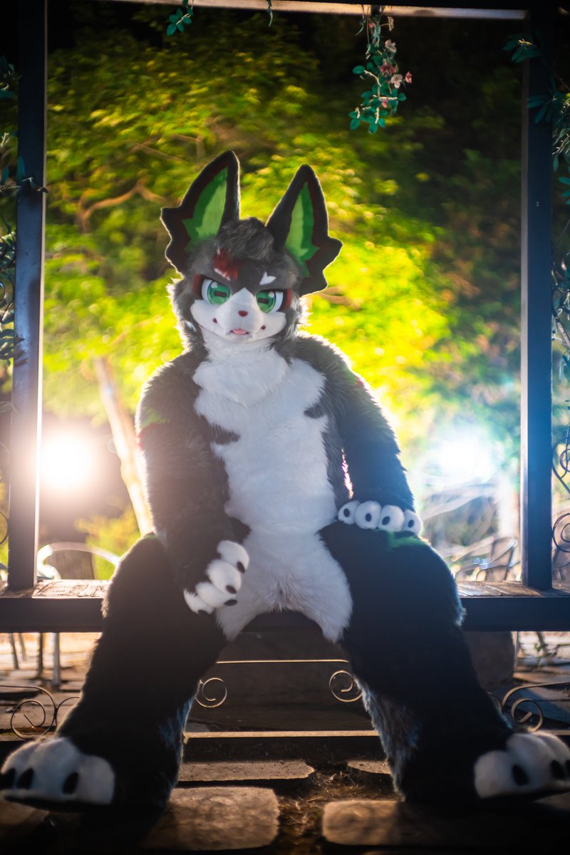 ECYCE_fursuit's tweet photo. 올해 데뷔하고 난 뒤 몇 곳에서 불러주는 기회를 가지게 되었느니라! 여름 간에 친구들과 만날 수 있어서 많이많이 행복했고 이제 퍼슈트의 계절이 슬슬 다가오니 다들 긴장하도록...! 

#FursuitFriday #나를_극복
📸: #Fluffy_fur_Fox https://t.co/tyWxw1i3C8