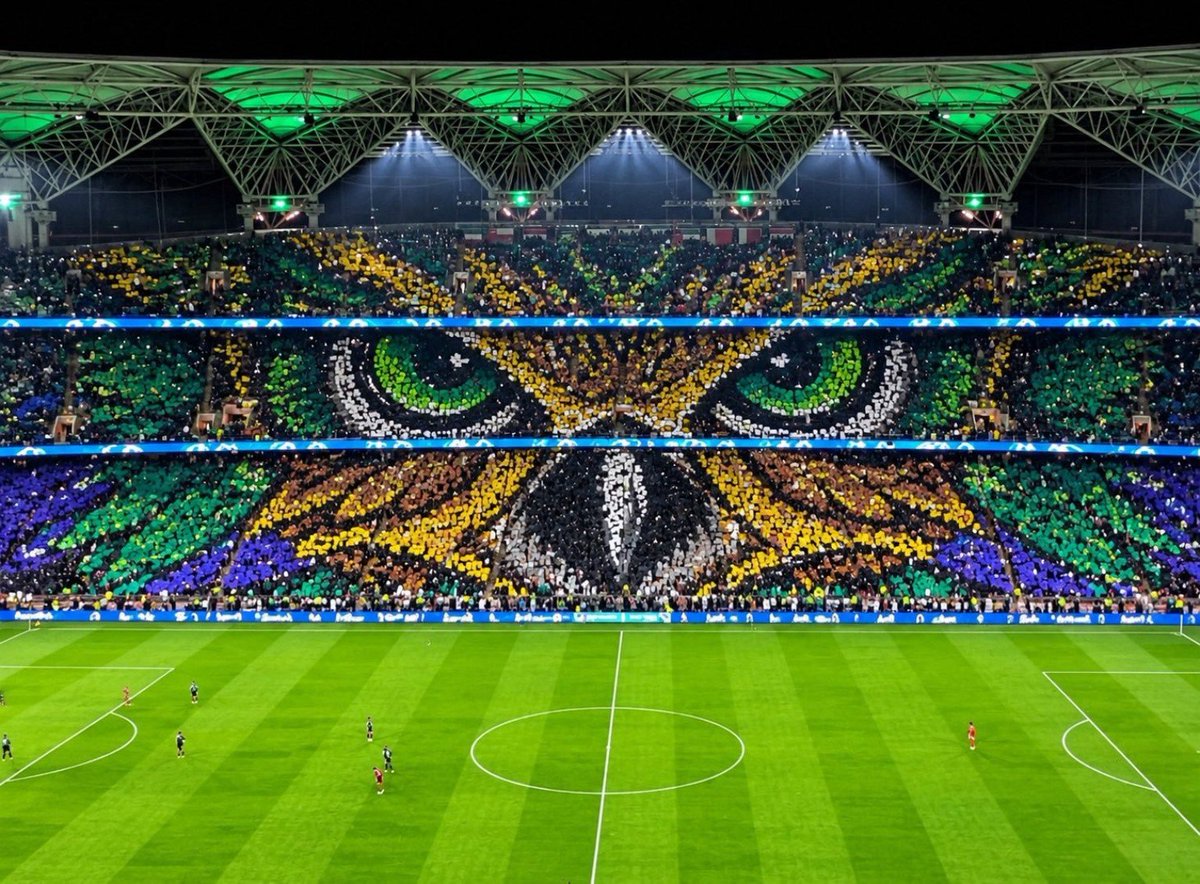 PulseEmirates's tweet photo. خلّنا نشوف ونحكم بأنفسنا 😂
الصقّار الإماراتي معروف بالصقر ويميزه من أول نظرة… وهذي الصورتين قدامكم.
العيون، شكل الوجه، والتكوين كله يقول: بومة 🦉

خلّنا نفصّلها شوي 😂: عينان دائريتان للأمام، وجه دائري عريض، إطار ريش حول العينين، ومنقار صغير بالنص… يا جماعة هذي مواصفات بومة 🦉 مو صقر.

فلا تقولون صقر… حتى التيفو يقول: إنتو وين والصقر وين؟ 😂🇦🇪