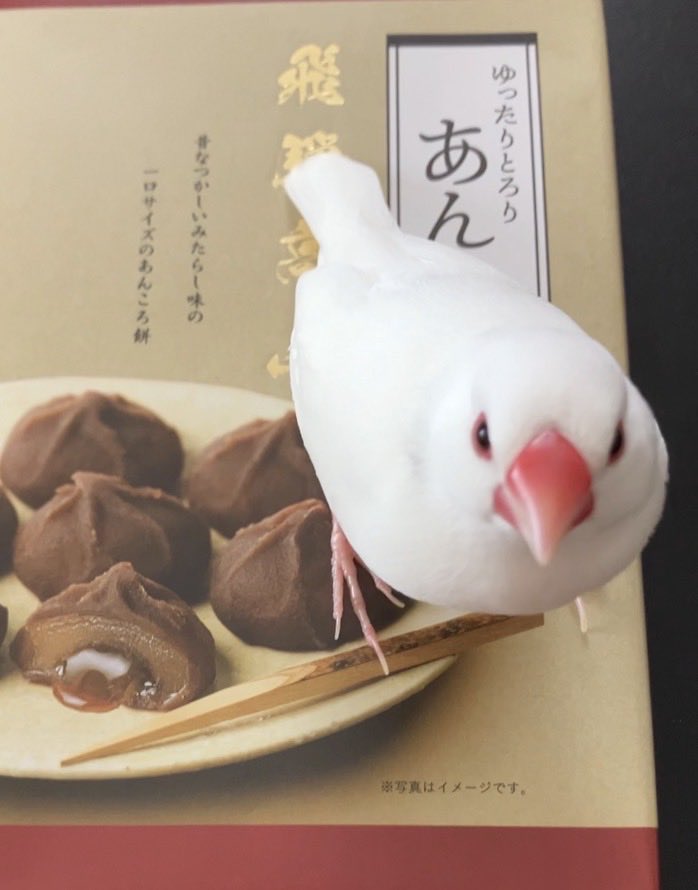 chimata69's tweet photo. ﾍﾟﾛﾘ🤤 https://t.co/W8dOnPbEe7