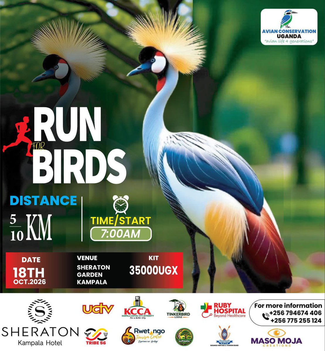 acus_uganda's tweet photo. Have you secured your kit yet?

#Run4Birds26 #Avianconservationuganda https://t.co/K5Z7cPLPT9