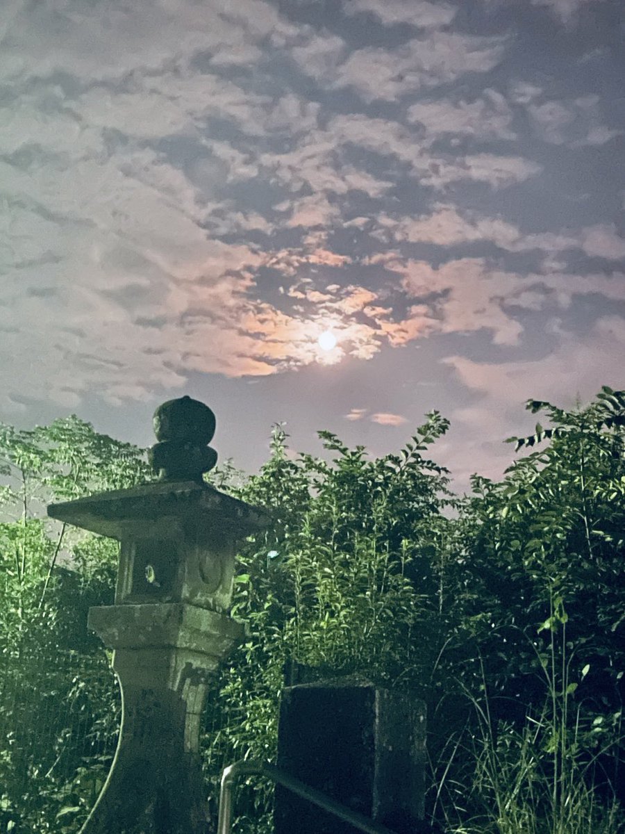 ogushimori's tweet photo. 中秋の名月🌕
明るいお月様です。
旧暦なので新暦では日が動きますが、9月下旬の今くらいがちょうどいいな、と思います。 https://t.co/c8uiAwxyYf