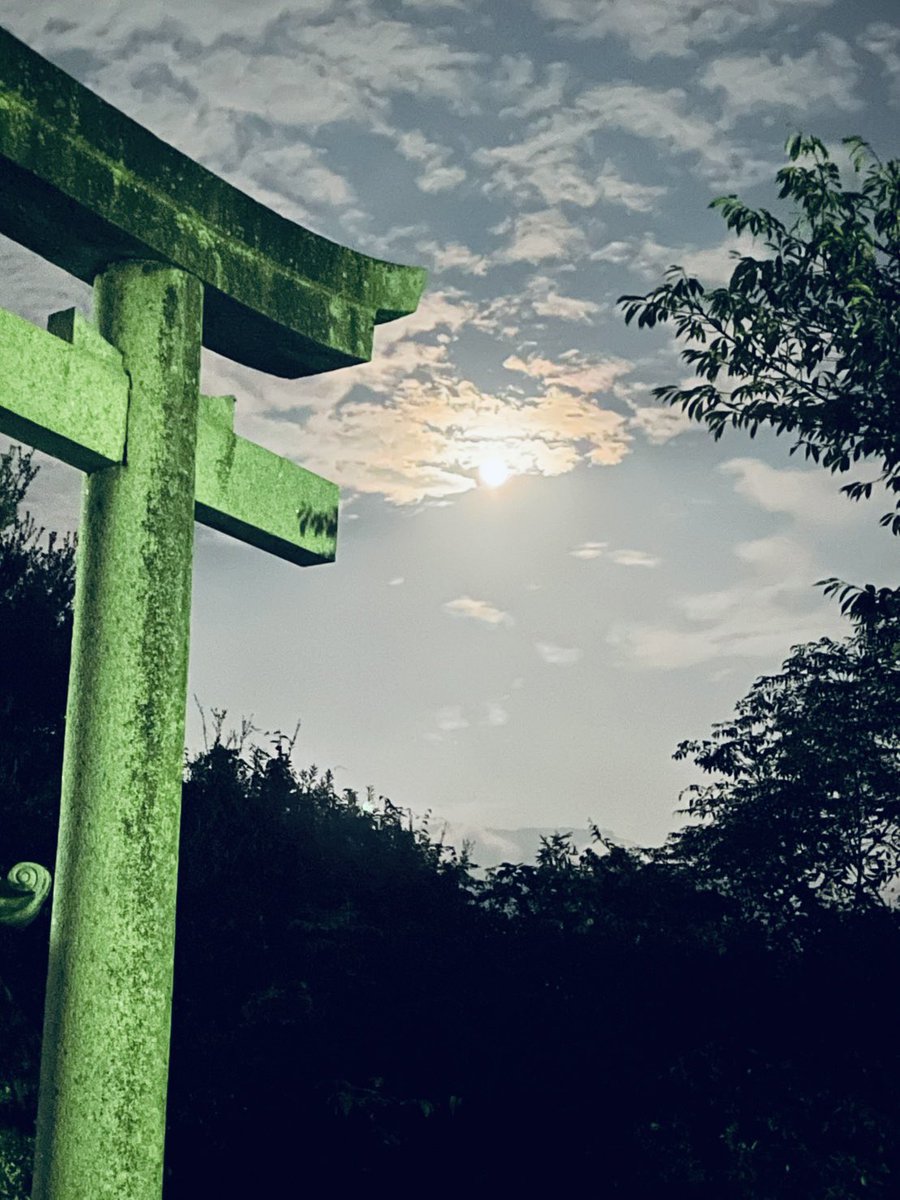 ogushimori's tweet photo. 中秋の名月🌕
明るいお月様です。
旧暦なので新暦では日が動きますが、9月下旬の今くらいがちょうどいいな、と思います。 https://t.co/c8uiAwxyYf