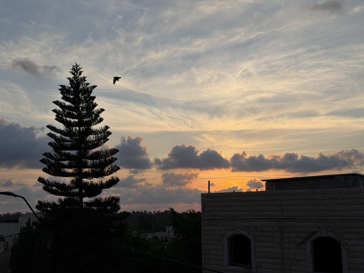 Doaa854 tweet picture