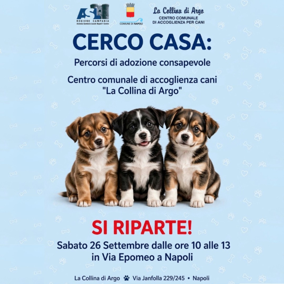 ComuneNapoli's tweet photo. 🐶Ripartono gli appuntamenti itineranti dedicati alla sensibilizzazione dei cittadini sul tema dell'adozione responsabile degli animali d'affezione, nell'ambito di "CERCO CASA: Percorso di Adozione Consapevole".

1️⃣Tappa: 26/09/26, ore 10-13, via Epomeo

ℹ️https://t.co/TkTjO4czgz https://t.co/e4AbCAdn1n
