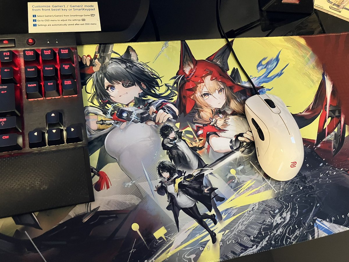 Rakka_BF's tweet photo. グリフライン君からマウスパッド届いた https://t.co/2LSzvxVUTu