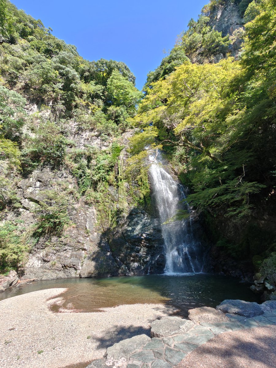 BF_gure's tweet photo. 本日は箕面の滝に行ってきました！

2年前に夫に初めて出会って以来ですね。
あの時私は竹富島に行ったばかりで、人に自慢したくて竹富島のTシャツを来ていきました。夫にもたくさん話を聞いてもらって...まさか1年後に一緒に竹富島に行くことになるとは思いもよりませんでした。 https://t.co/DWcvIkaWbw