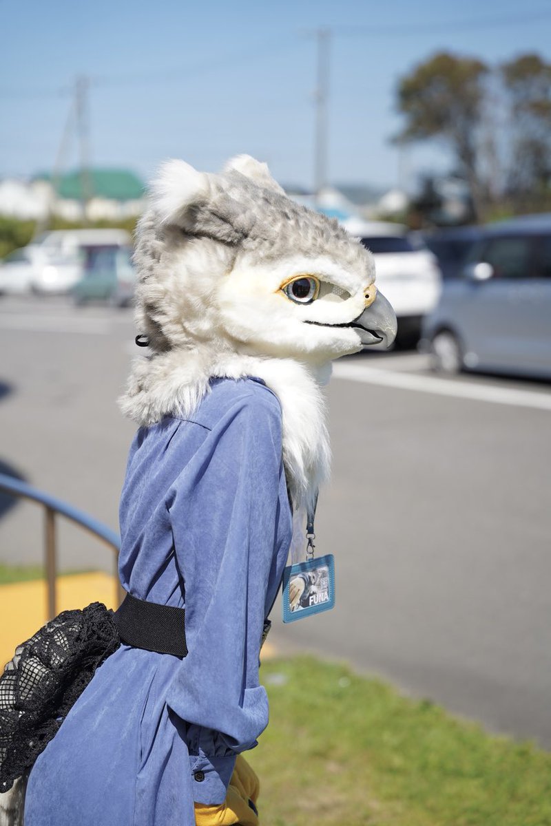 furfuna24's tweet photo. #FursuitFriday https://t.co/bXAbGTYkVb