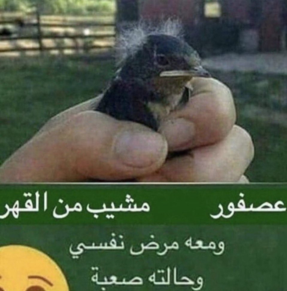 _engahmad's tweet photo. السنة الرابعة في الهندسة لو كانت صورة https://t.co/jnhWygiJuy
