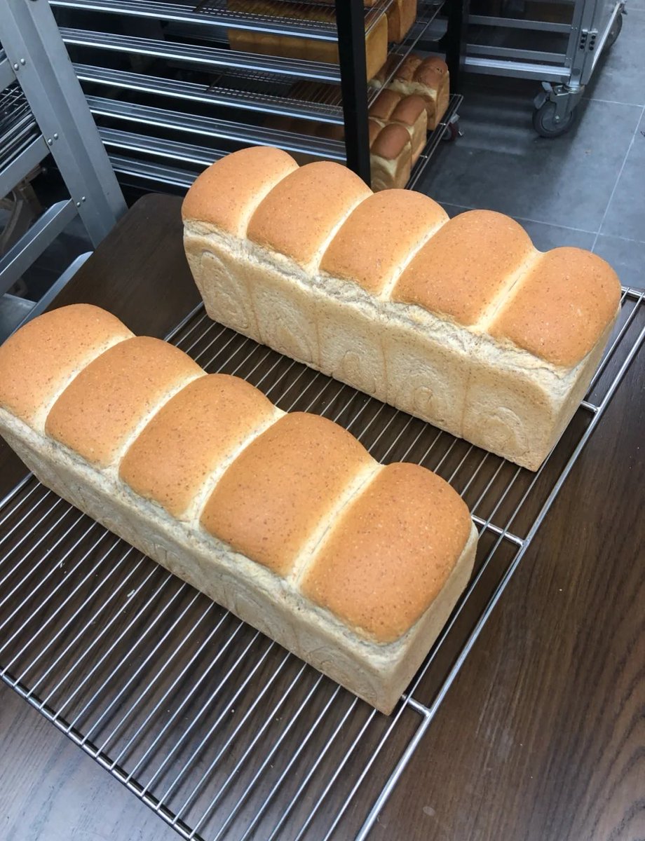 WilfredBorpvp's tweet photo. Fin de semana dulce! Hornee pan casero crujiente, el aroma que llena la casa es lo mejor de la repostería , https://t.co/d4phVSGpRw