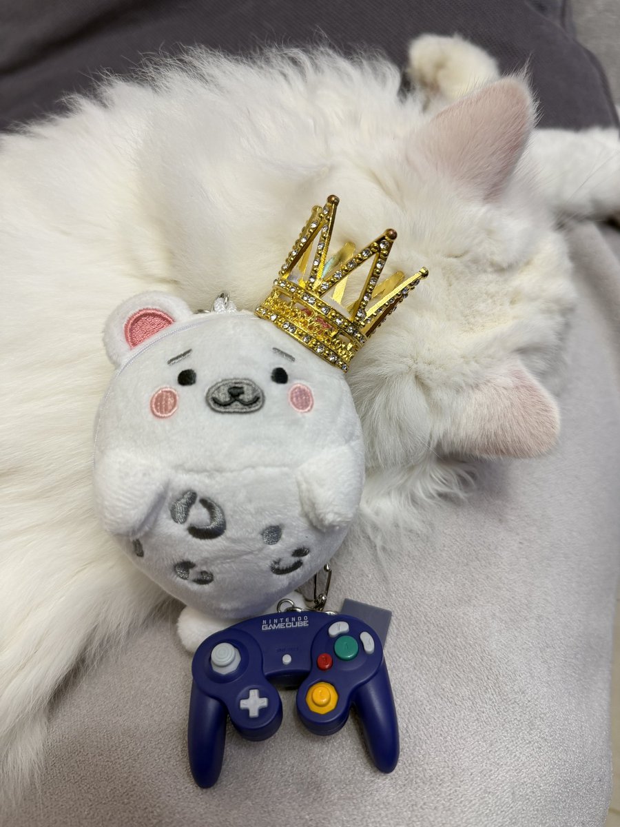 MeiBoaay's tweet photo. 中秋節快樂🥮
加入粉肝村後做了好多以前沒做過的事，希望能越來越好✨ https://t.co/TOqHY08Rfi