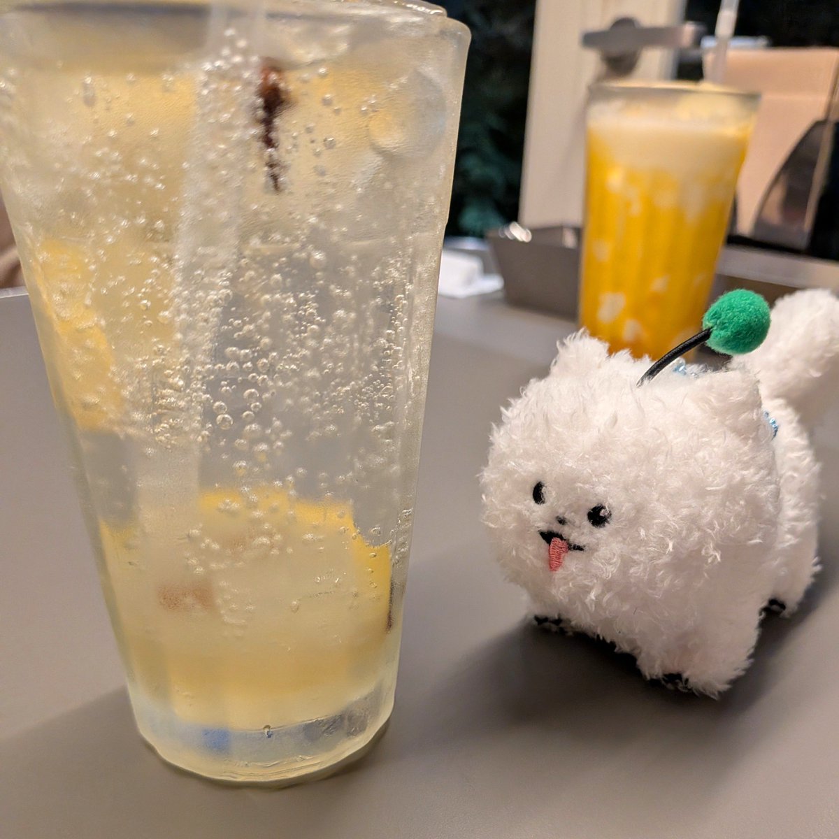 naa_feb's tweet photo. 二次会 https://t.co/0ozb1MxfVV
