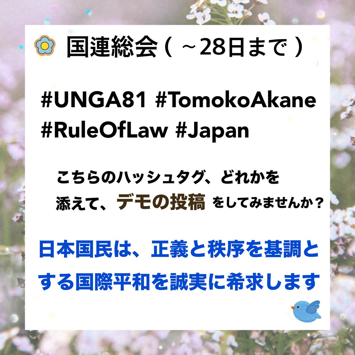 usakotokon's tweet photo. #せーので言ってこ戦争反対
#戦争に反対するお花畑の会

日本のデモを世界にも届けたくて、
ちょっと広めてみようと思います🐹

賛同いただける方、
お手伝いいただけると助かります。

↓こちらのハッシュタグ、
どれかを添えてもらえるとうれしいです。

#UNGA81 #TomokoAkane
#Japan #RuleOfLaw https://t.co/oGLcnT34i1