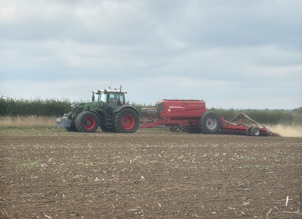 agronomist_ben's tweet photo. Let the seed see the soil….. 🌾 KWS Vibe ex OSR ground #wheat27 https://t.co/tdqz2kghXk