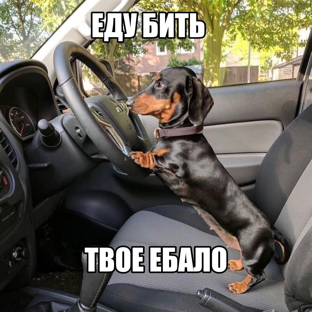 MariBee81's tweet photo. @lstillhate_ ты тврь реально https://t.co/yi0VIeLT5f