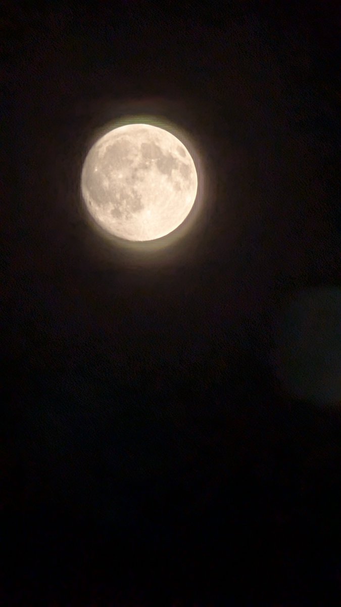 kile__33's tweet photo. 十五夜らしい
外で撮ってたけど地味に寒い https://t.co/HxKe48BhZr
