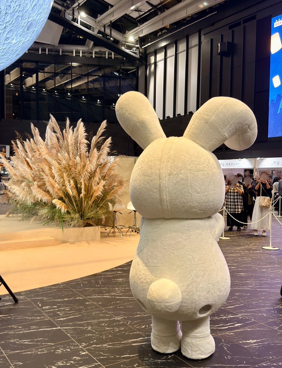 yukimi_lotte's tweet photo. 🐰 🤍 🐰 🤍 🐰 🤍 🐰 🤍 🐰 🤍 🐰
#雪見だいふくみんなでお月見会
雪見うさぎが遊びに来てくれました！
🐰 🤍 🐰 🤍 🐰 🤍 🐰 🤍 🐰 🤍 🐰

26日（土）27日（日）にも登場予定です🎑 https://t.co/QusN0NfKi7
