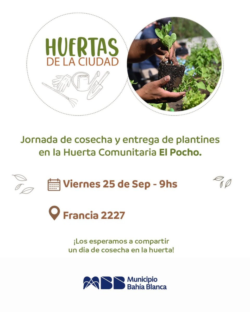 Val_Fabian's tweet photo. Cerramos la semana con una doble jornada de #HuertasDeLaCiudad.🌱💚

Dos espacios, dos encuentros y una misma idea: seguir poniendo las manos en la tierra, compartiendo saberes y construyendo comunidad.🙌

🌱 En la #HuertaElPocho de #VillaNocito, nos espera una hermosa jornada de cosecha, fruto de todo el trabajo y el compromiso compartido.

🌱 Y en el #CAPS de #VillaHardingGreen, vamos a estar entregando plantines y semillas de estación para que más vecinos puedan comenzar o seguir fortaleciendo sus huertas.

Porque cada semilla que entregamos es una oportunidad para crecer, aprender y compartir. 🌱❤️

¡Te esperamos!🍅🥦🌱

#HuertasDeLaCiudad🍅🥦🌼 del @MunicipioBahia.