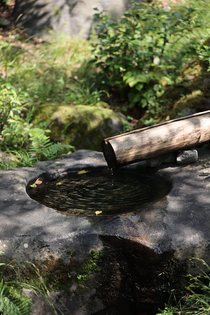 ura_farm_photo's tweet photo. お散歩写真 昭和記念公園
SIGMA 70-200mm F2.8 DG OS HSM
R6で試し撮り
今度はR7でも試したい
#ファインダー越しの私の世界
#キリトリセカイ
#写真好きな人と繫がりたい
#canonphotography https://t.co/QjnrLrmhlA
