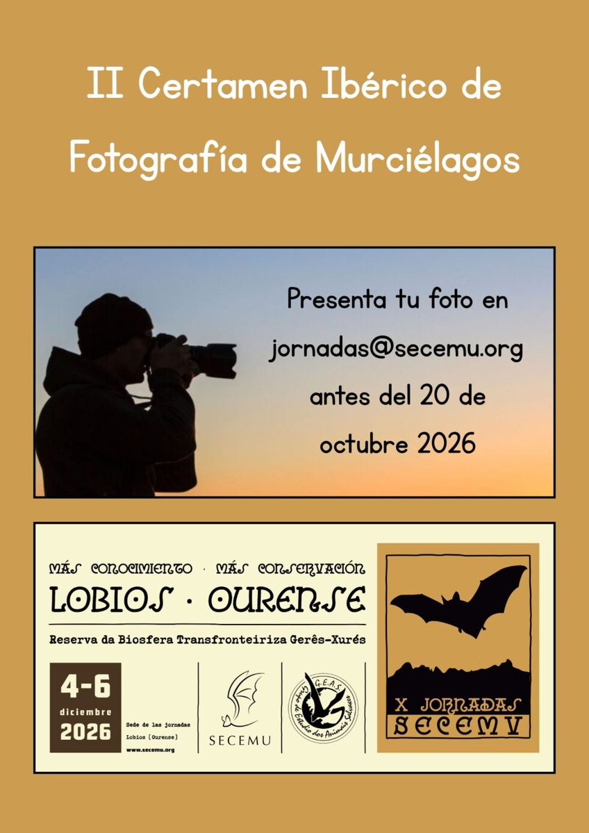 RevistaQuercus's tweet photo. 🦇 El II Certamen Ibérico de Fotografía de Murciélagos de @SECEMU_ premiará la mejor fotografía de quirópteros.
🕖 Plazo envío fotos: 20 de octubre
🏆 El fallo será durante las X de Secemu, que se celebrarán del 4 al 6 de diciembre, en Lobios (Ourense)
🔗 https://t.co/wI5cvDdGFj https://t.co/5GDIBgtqCc