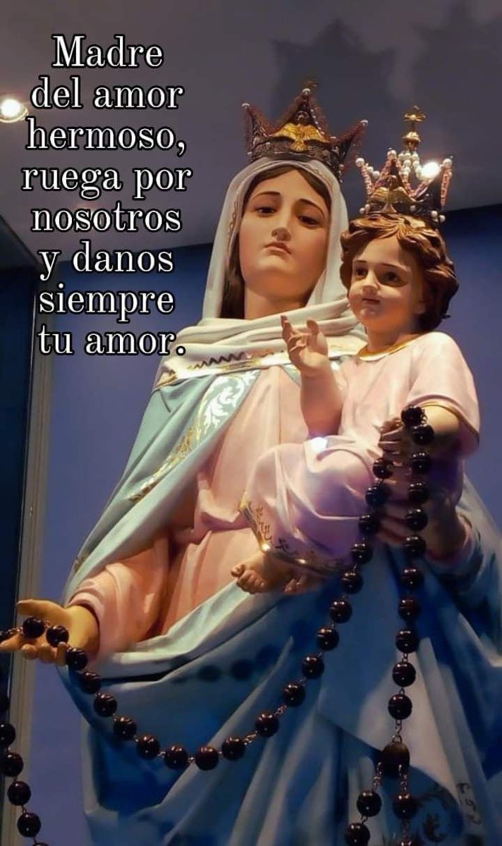 JuntosRecemos's tweet photo. Dios te salve, María
Llena eres de gracia
El Señor es contigo.
Bendita tu eres entre todas las mujeres y bendito es el fruto de tu vientre, Jesús. 
Santa Maria, Madre de Dios, ruega por nosotros, pecadores, ahora y en la hora de nuestra muerte. Amén https://t.co/GwWCHlcROL