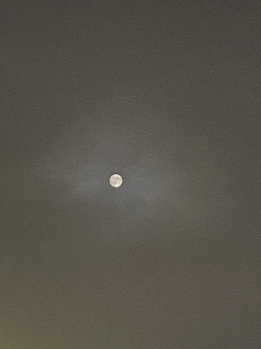 feles444Hz's tweet photo. #十五夜 
地元に戻ってきて空を見上げたら、薄い雲の隙間から月が見えました😊
思ってたより綺麗に撮れたかも✨️ https://t.co/8oRkCNi8ds