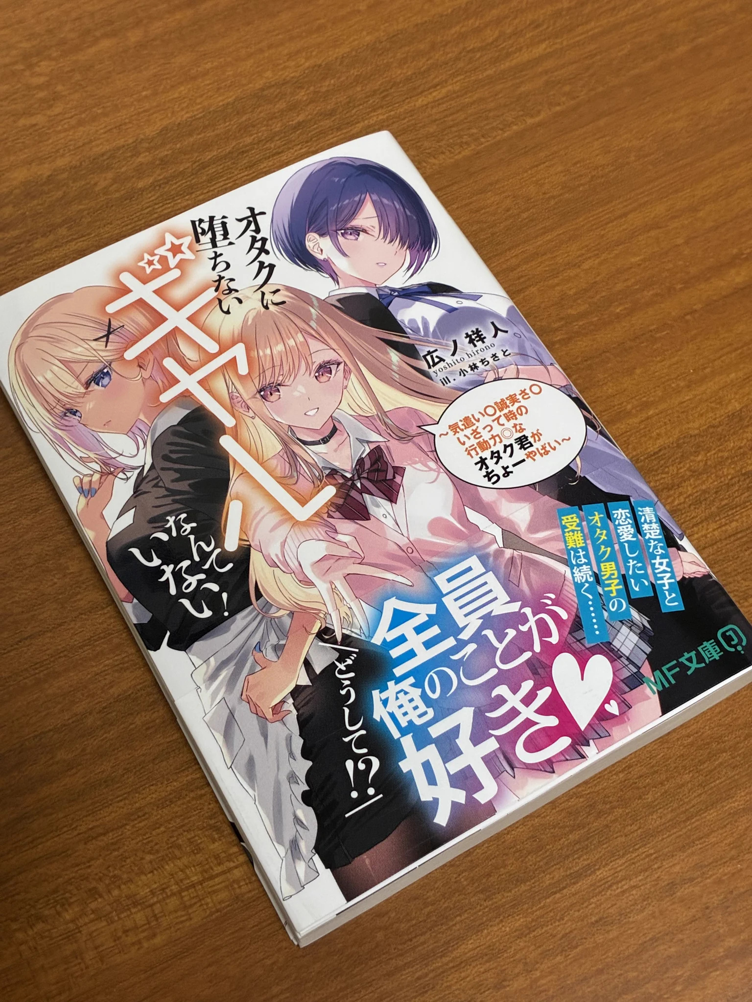 九曜@ラノベ作家 / MF文庫Jより新作発売中！ в X: „買ってきた、その2